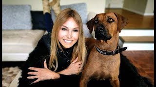 RHODESIAN RIDGEBACK  THE LION DOG OF AFRICA [upl. by Alyakcm]