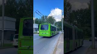 Kauno Autobusai Berkhof Premier AT18 055 in Eiguliai  trolleybus bus busmania publictransport [upl. by Lydnek]