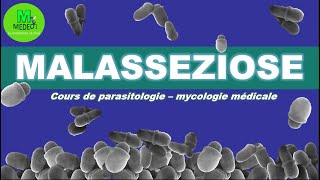 MALASSEZIOSE cours de parasitologiemycologie [upl. by Arnie402]