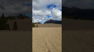 Carcross Desert in Yukon Canada travel yukon whitehorse carcross desert [upl. by Sivrad]