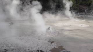 Bubbling geothermal mud potsRotorua New Zealand [upl. by Dorice]