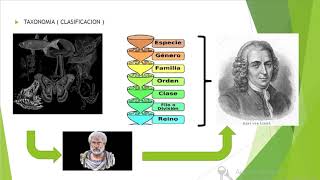 BIOLOGÍA TEMA LA SISTEMÁTICA [upl. by Hudgens]