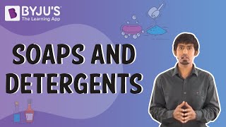 Soaps and Detergents  Learn with BYJUS [upl. by Anigriv]