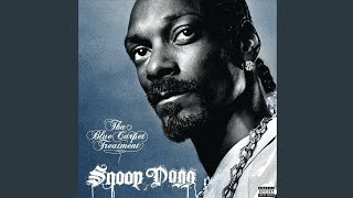 Snoop Dogg  Boss Life feat Akon amp Nate Dogg [upl. by Harragan404]