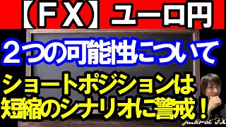 【ＦＸ】ユーロ円 ４Ｈサイクル２つの可能性について！ [upl. by Ayital]