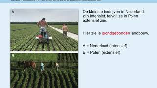 AK H5 Wereld Globalisering 111 Invloed van de EU op landbouw in NL en Polen [upl. by Lucille]