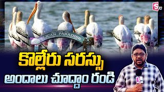 కొల్లేరు సరస్సు అందాలు చూద్దాం రండి Kolleru Lake Tourism Place  Kolleru Birds  SumanTV Telugu [upl. by Bremser]