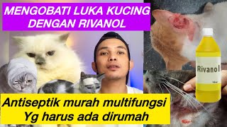 MENGOBATI KUCING LUKA DENGAN RIVANOL  Rivanol untuk kucing luka kucing borokan kucing abses dll [upl. by Vona]