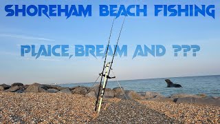 SEA FISHING UK 2023SHOREHAM BEACH FISHING  I CAUGHT A NEW SPECIES [upl. by Dnallor854]