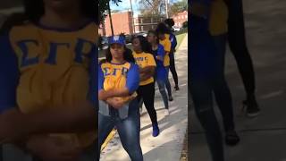 LemoyneOwen College Sigma Gamma Rhos 💙💛🐩 [upl. by Asiek843]