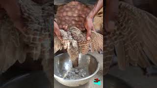 Partridge birds Recipe  Teetar birds Curry  Teetar Racipe  Titar Racipe  Village Recipe guy [upl. by Eiramesor]