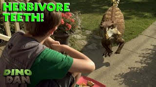 Looking at Herbivore Teeth  Best of Dino Dan Treks Adventures [upl. by Cob]