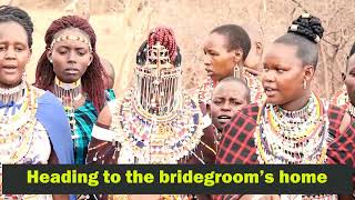 MASAIONE PRODUCTIONMaasai traditional wedding episode one [upl. by Badr203]