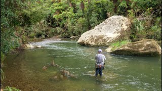 Incredible Fly Fishing for BIG Rainbow Trout in a Stunning River [upl. by Baxter624]