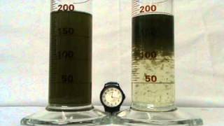 Treating Algae Contaminated Water [upl. by Atiker]