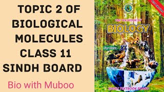 Topic 2  Biological Molecules  Class 11 SINDH BOARD  Bio With Muboo [upl. by Hube408]