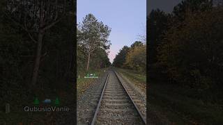 🌲🚙🌲QubusioVanie 202411 quotIdę do Chałupquot 🛤️ wladyslawowo qubusiovanie vanlife nature travel [upl. by Ayotak100]