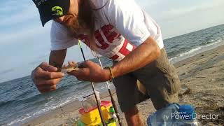 Chesapeake bay fishing first landing state park [upl. by Mackoff]