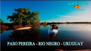 Paso Pereira Pesca tormenta lanchas rotas lluvias viento [upl. by Airod]