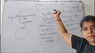 Mechanismofhormoneaction Hormone Mechanism of Action [upl. by Loeb334]