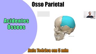 Osso Parietal  Aula Teórica  Anatomia Humana [upl. by Nitsyrk455]