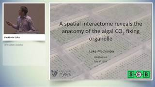 A spatial interactome reveals the anatomy of the algal CO2 fixing organelle [upl. by Friede607]