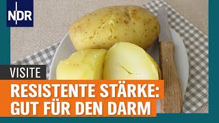 Resistente Stärke Gut für den Darm und gegen Entzündungen  Visite  NDR [upl. by Schreibman]