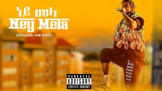 ነይ መላ  Ethiopian new music ney mela 2024 [upl. by Nohsauq]