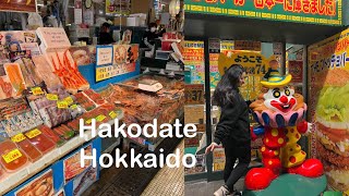 Hakodate vlog Hokkaido 函館につきました [upl. by Ruggiero660]