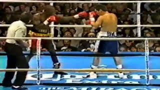 WOW WHAT A KNOCKOUT  Julio Cesar Chavez vs Terrence Alli Full HD Highlights [upl. by Ansley]