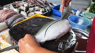 Amazing fast speed and accuracy fish cutting  Variety fish [upl. by Lisha902]