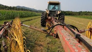 3rd Cutting Alfalfa Harvest [upl. by Ennaul]