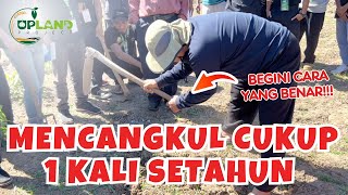 Petani Harus Tau Cara Ini ‼️ Cara Mengolah Lahan Tandus Menjadi Subur  UPLAND Project [upl. by Raybin44]