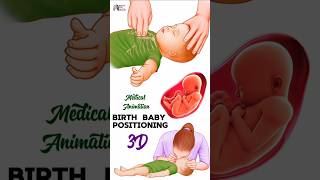 Birth  Baby Positioning medical animation 3d short BiologywithAliya [upl. by Gnal]