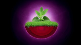 24 Hours Music for Plants  Music Stimulation for PLANT HEALTH  Brainwave Entrainment [upl. by Hillard10]