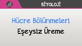 Hücre Bölünmeleri  Eşeysiz Üreme [upl. by Nor]