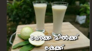 പേരയ്ക്ക മിൽക്ക് ഷേക്  Guava Milk Shake  Perakka Juice  Guava Juice  Hot Food By Saju [upl. by Munford]