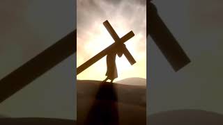 NO LLOREN POR MI cruxifixionjesusshortvideos [upl. by Radman408]