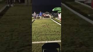 Special Olympics Bocce [upl. by Haron143]