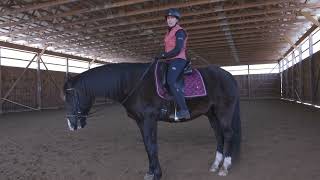 How to Improve Your Trot Rhythm  Learn this fun exercise for you and your horsetrottinghorse [upl. by Adnar478]