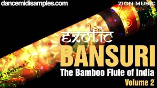 Indian Flute Samples Exotic Bansuri Vol 3 [upl. by Vasti]