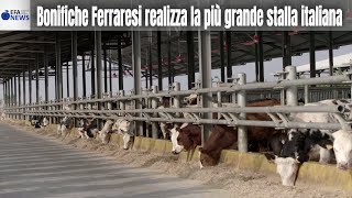 Bonifiche Ferraresi realizza la più grande stalla italiana [upl. by Tarrah]