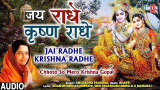 श्रीकृष्ण जन्माष्टमी कीर्तनजय राधे कृष्ण राधेJai Radhe Krishna Radhe Krishna BhajanANURADHAPAUDWAL [upl. by Mcgean108]