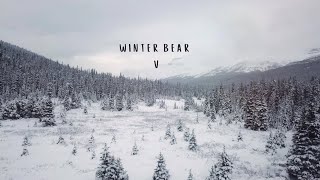 V  WINTER BEAR lyrics [upl. by Revell751]