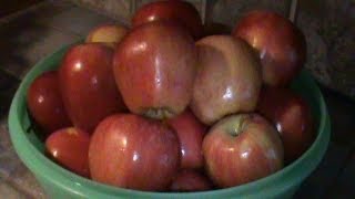 How to Freeze Apples [upl. by Fonzie]