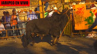 🔴 Ruleta con MASCOTA DE JALISCO en Vivo 🔴 SELECCIÓN MICHOACANA en Huiramba Michoacán 23 Enero 2024 [upl. by Angell355]