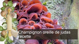 Champignon oreille de judas recette [upl. by Enaud965]