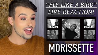 MORISSETTE quotFLY LIKE A BIRDquot REACTION  THE NEW VOCAL SUPREME  MARIAH CAREY COVER [upl. by Reppep]