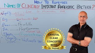 Names Of Clinically Important Anaerobic Bacteria 🦠 [upl. by Nedloh]