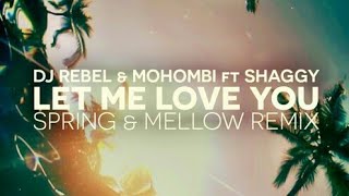 Mohombi  LET ME LOVE YOU Song Lyrics DJ Rebel amp ShaggyFullHD [upl. by Chiquia109]